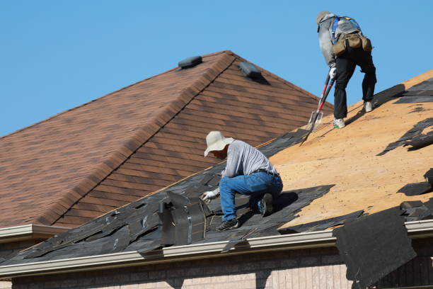Best Gutter Installation and Repair  in Amelia Court House, VA